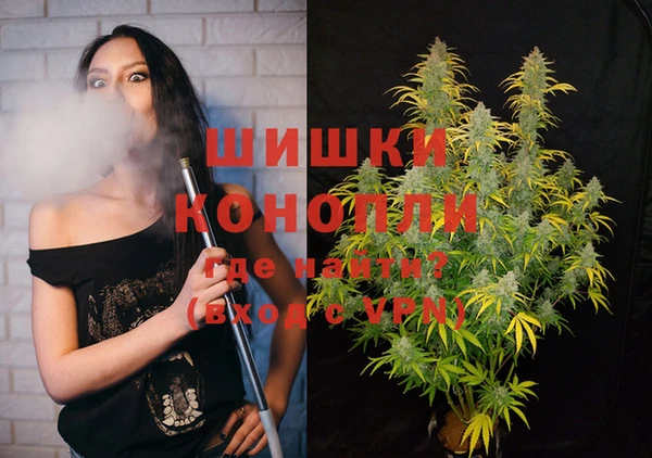 шишки Елабуга