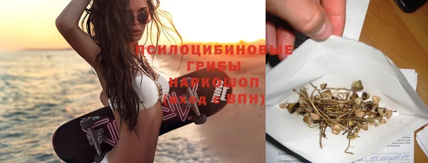 скорость Ельня