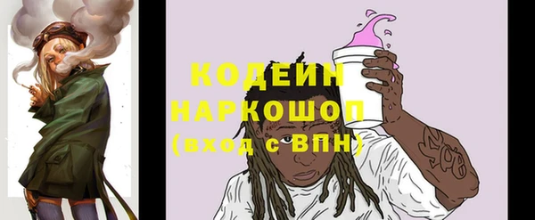 скорость Ельня