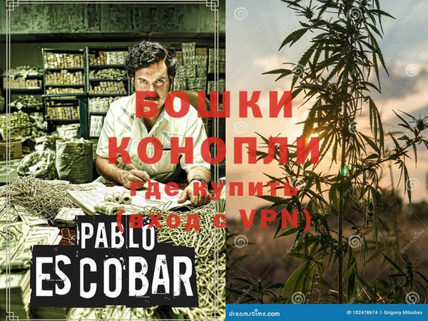 шишки Елабуга