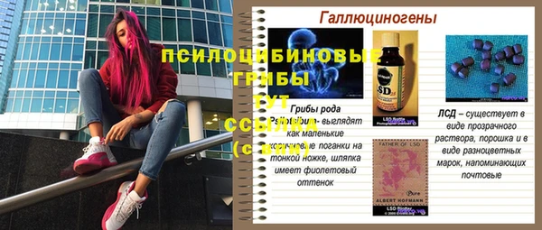 MDMA Premium VHQ Елизово
