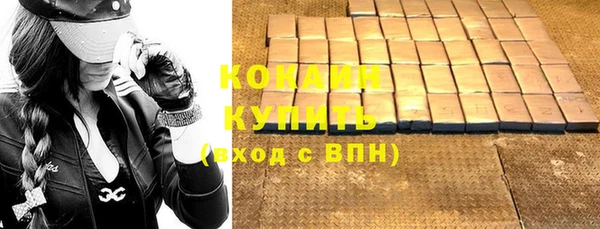 шишки Елабуга