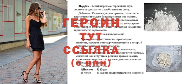 скорость Ельня