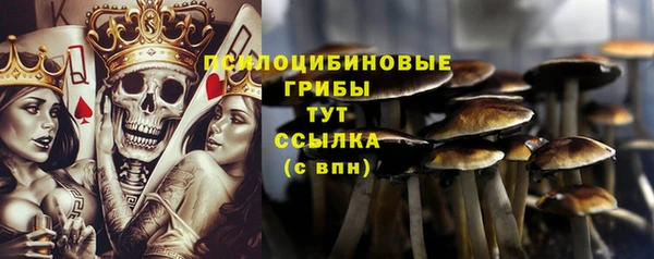 шишки Елабуга