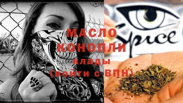 скорость Ельня