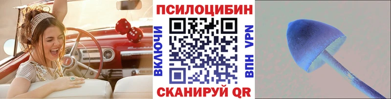 мега зеркало где продают наркотики Кемерово Галлюциногенные грибы Psilocybine cubensis